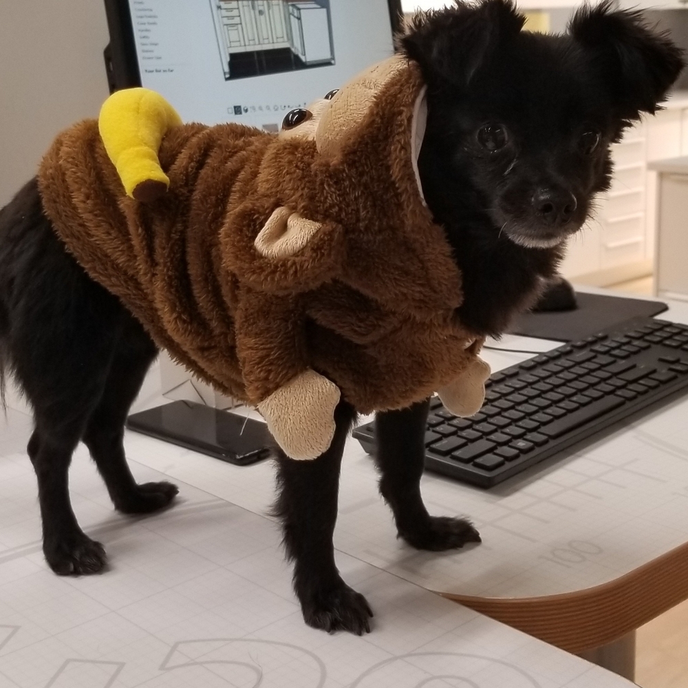 Monkey Costume Jacket for XS Dog